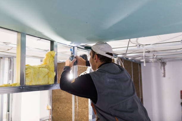 Professional Insulation Contractor in Lake Barcroft, VA