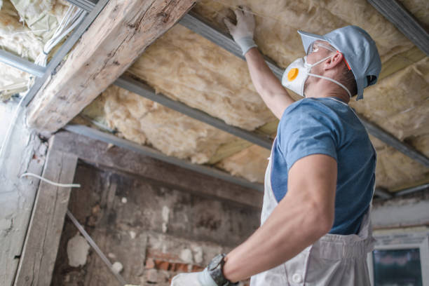 Best Geographic-Specific Insulation Services in Lake Barcroft, VA
