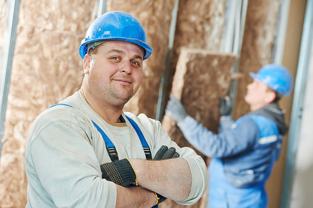 Best Cellulose Insulation in Lake Barcroft, VA