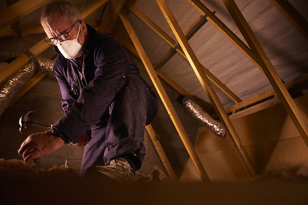 Types of Insulation We Offer in Lake Barcroft, VA